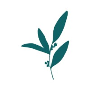 The Birthing Tree - Logo