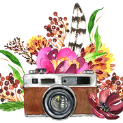 The Halcyon Days Photography - Logo