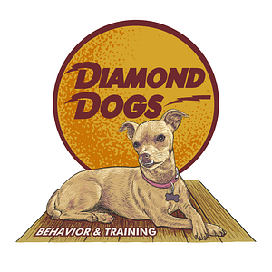 Diamond Dogs Private Training & Behavior Consultation