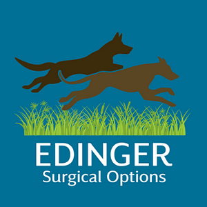 Edinger Surgical Options - Logo