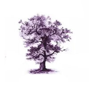 Sotil Tree Service - Logo
