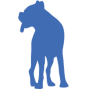 Active! Dog Daycare and Boarding - Logo