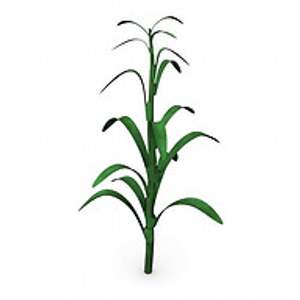 Mid Iowa Real Estate, Auctions, & Appraisals - Logo
