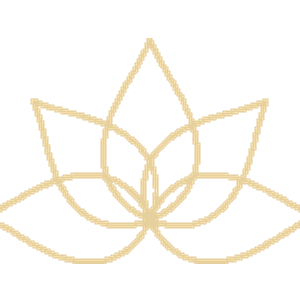 Imagine Hot Yoga & Wellness - Logo