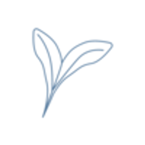 Sunshine Esthetics - Facials & Skincare in Lincoln - Logo
