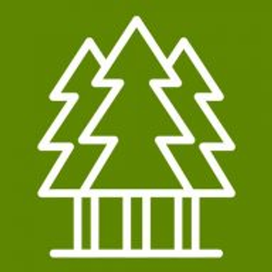White River Tree Service - Logo