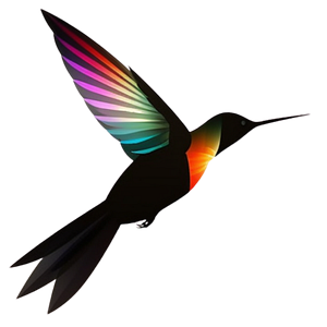 Colibri Systems | Web Design & Marketing Agency for Small Business