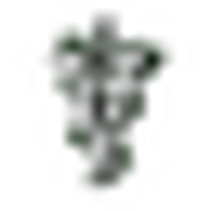 Wasatch Springs Animal Hospital - Logo