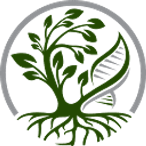 Rooted Health Holistic Healing, PLLC - Logo