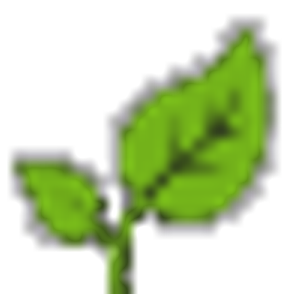 Lawn Management Services