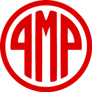 Pinnacle Movement and Performance - Logo