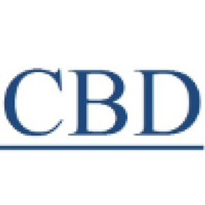 C B Development Services Inc - Logo