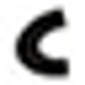 Crescent Lake Realty, LLC - Logo