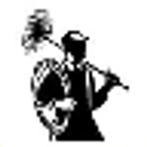 Carolina Ductmasters & Chimney Sweeps