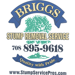 Briggs Stump Removal Stump Services Pros