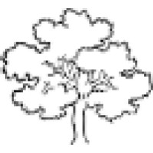 OakTree Financial Planning