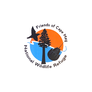 Cape May National Wildlife Refuge