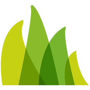Soil To Sod Landscaping & Irrigation - Logo