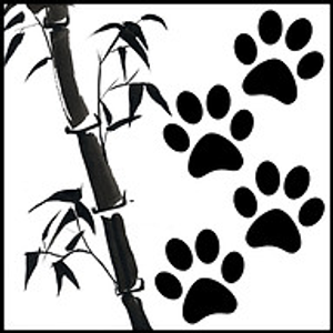 Animal Acupuncture Westside