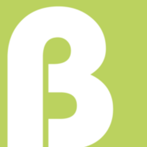 Blinds 2 Envy - Logo