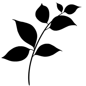 Summit Landscaping Llc