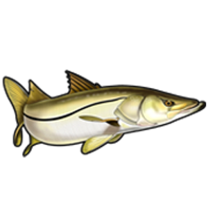 Snook Haven - Logo
