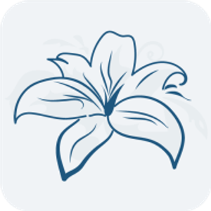 Illumina Skin Care Massage LLC - Logo