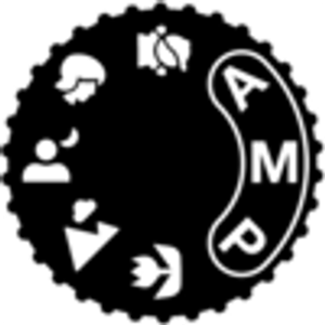 Amy Milstein Photography, Ltd - Documentary Wedding & Elopement Photographer in NYC - Logo