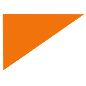 Transforming Emotions - Logo
