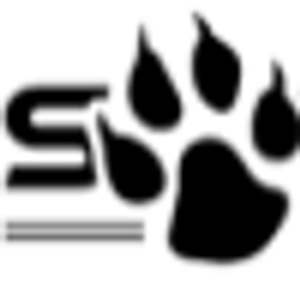 Southpaw Remodeling - Logo