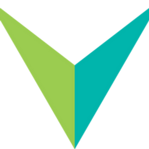 Velocity Solutions Group`