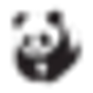 Panda Roofing LLC