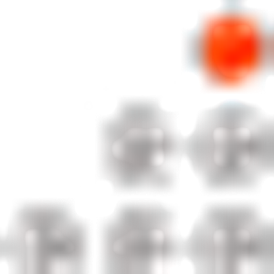 CSH Inc