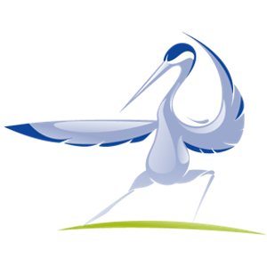 Pressure Point Cleaners - Logo
