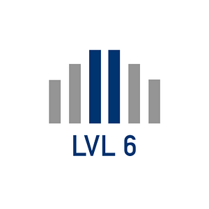 Level 6 Finish LLC