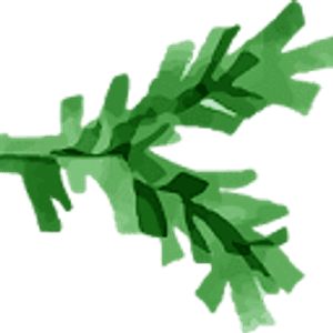 Timberjak, LLC. - Logo