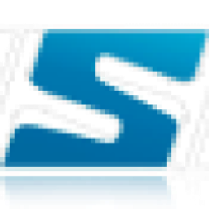 Shine On Group Inc - Logo