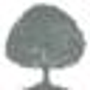 Davis Tree Services - Logo