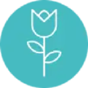 Tulip Therapy Massage - Logo