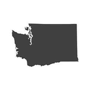 Washington Custom Concrete