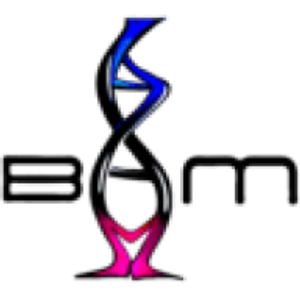 BAM HEALTH