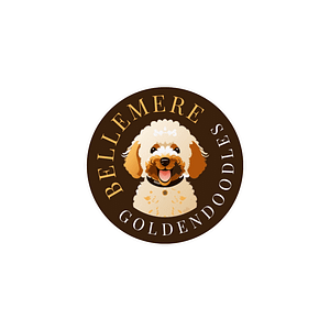 BelleMère Goldendoodles