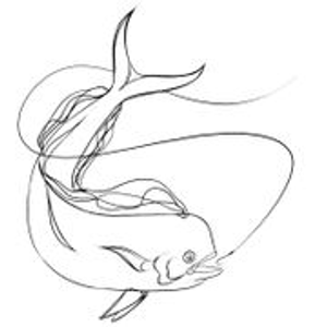 Expert Fishing Charters - Logo