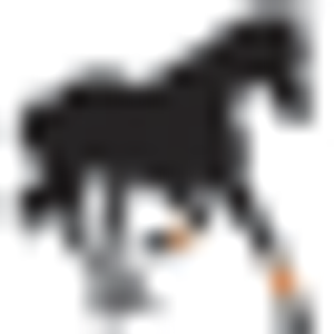 Lee's Riding Stable Inc - Logo