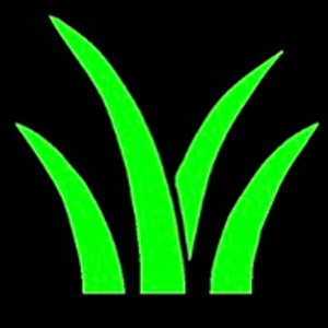 Turfit - Logo