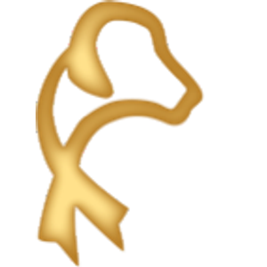 Gold Ribbon Rescue