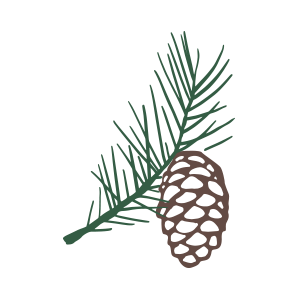 New Era Land Company - Logo