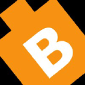 Bitswits - Mobile App Development Company Austin - Logo