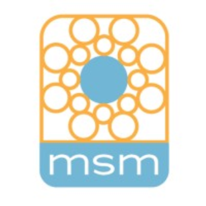 Mindful Stress Management - Logo