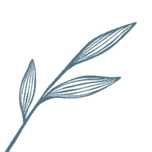 Focus Aesthetics - Logo
